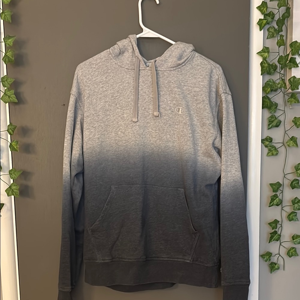 Champion Gray Sweatshirt Hoodie